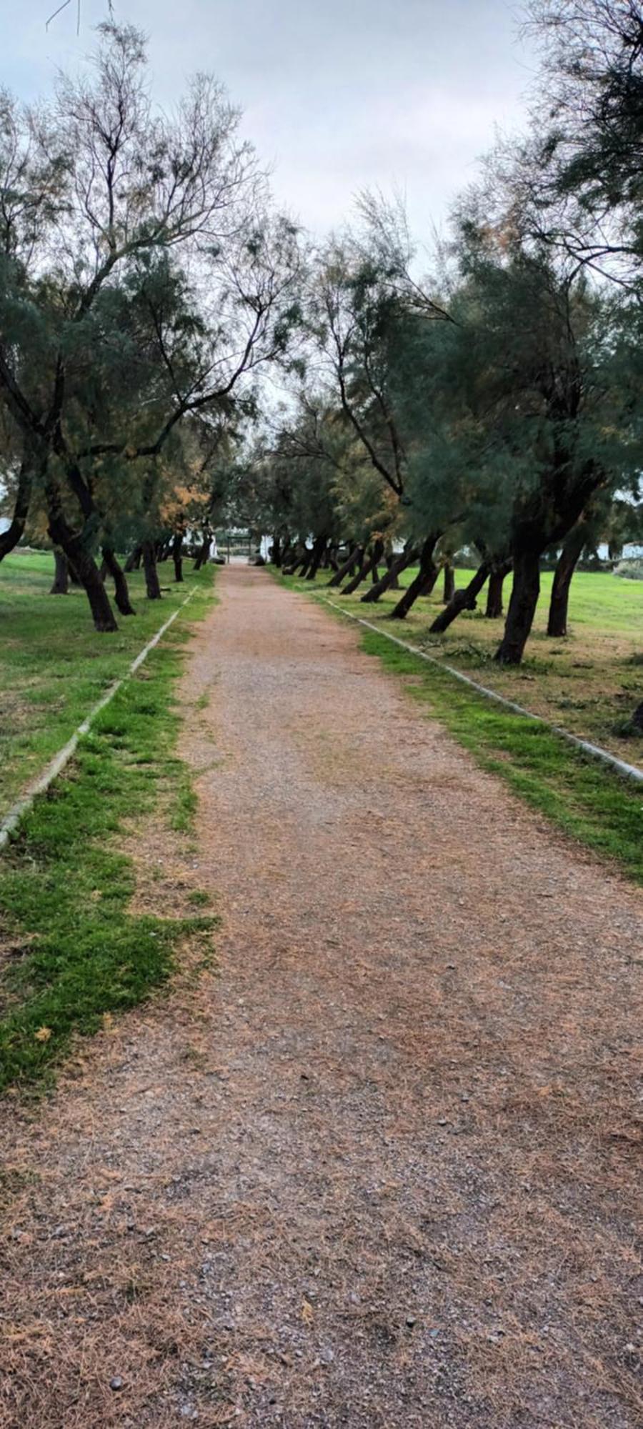 La Cabane Du Pecheur Mèze Εξωτερικό φωτογραφία